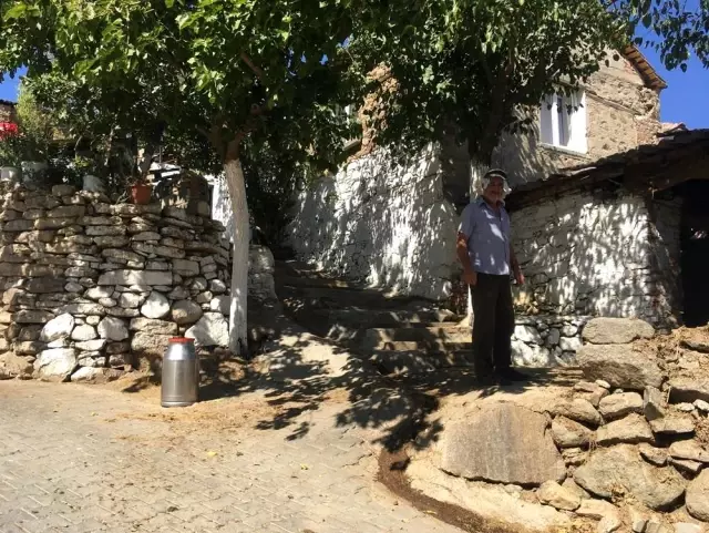 Bu süt güğümlerine, süt toptancılarından başkası dokunmuyor