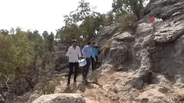 Son dakika haber | Dicle Elektrik gönüllülerinden Gabar Dağı'nda temizlik operasyonu