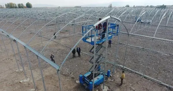 EKSİ 35'LERİ GÖREN ERZURUM'DA, JEOTERMAL KAYNAKLARLA DOMATES ÜRETİLECEK