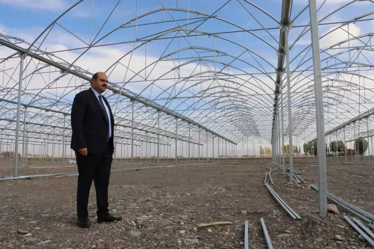 Erzurum'da jeotermal kaynaklar sayesinde kışın da domates üretilecek