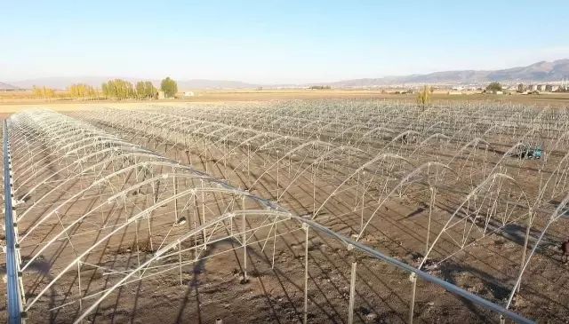 Erzurum'da jeotermal kaynaklar sayesinde kışın da domates üretilecek