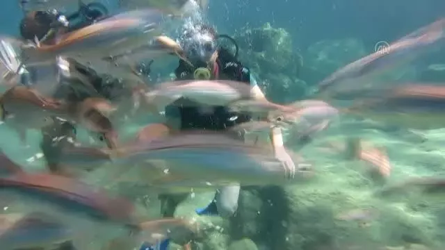 Görme engelli 9 kişi deniz dibinde beyaz bastonla yürüyüş yaptı