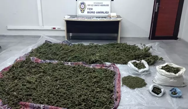 Son dakika haberi... Hevsel bahçelerinde 30 kilo esrar ele geçirildi, 3 gözaltı