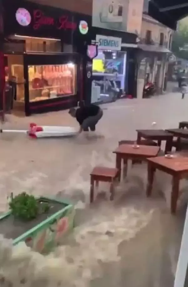 İzmir'de yağmur ve rüzgar hayatı olumsuz etkiledi