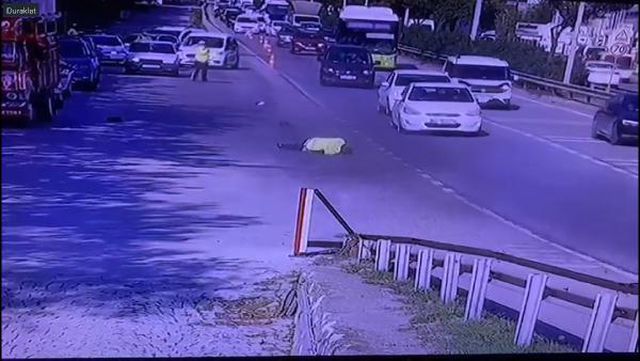 kacan surucunun otomobilinin camina tutunan t 5 14462410 o