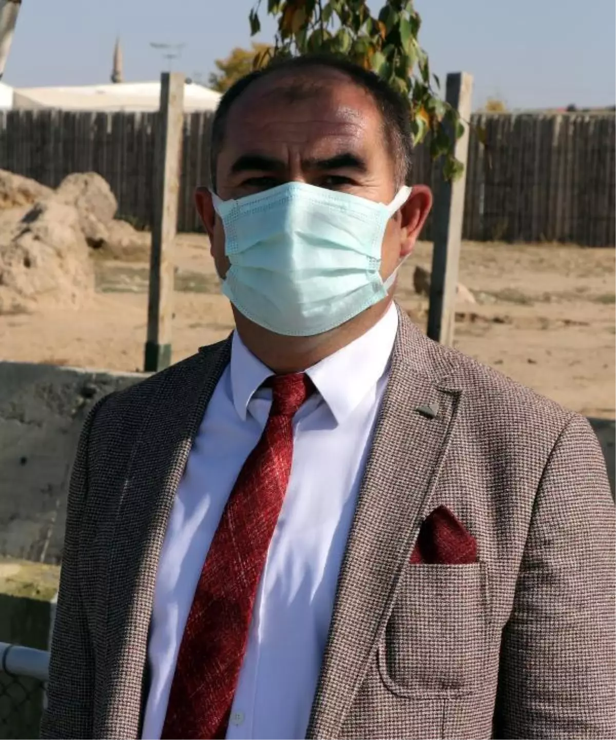 'Kurtlarla ayının bahis için dövüştürüldüğü iddiası asılsız'