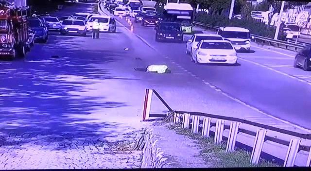 trafik polisi kacmak isteyen otomobilin kapis 5 14462213 o