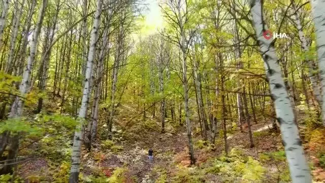 Tunceli sonbahar renkleriyle görsel şölen sunuyor
