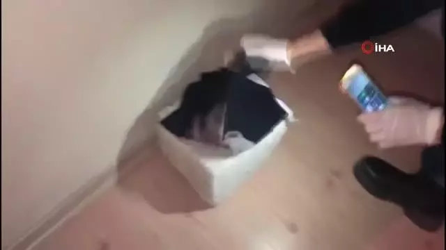 Uyuşturucu satıcılarına yönelik operasyon: 10 şüpheli yakalandı