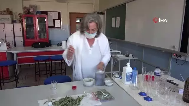 28 yıllık kimya öğretmeni şeker otundan aktif karbon üretmek için destek bekliyor