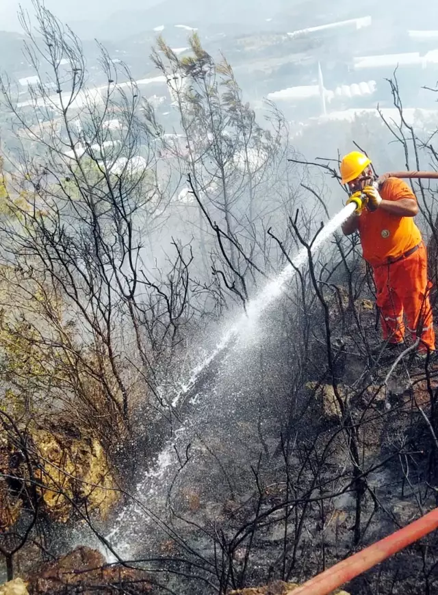 Son dakika haberleri! Antalya'da ormanlık alanda çıkan yangın kontrol altına alındı