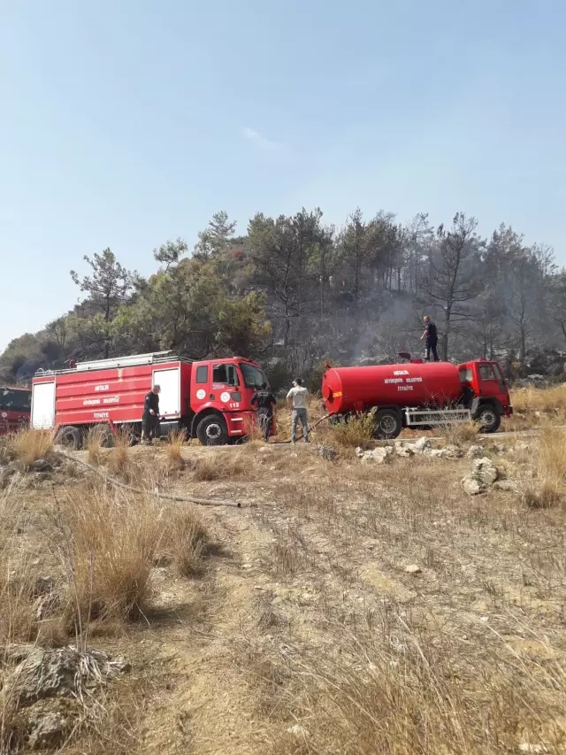 Son dakika haberleri! Antalya'da ormanlık alanda çıkan yangın kontrol altına alındı