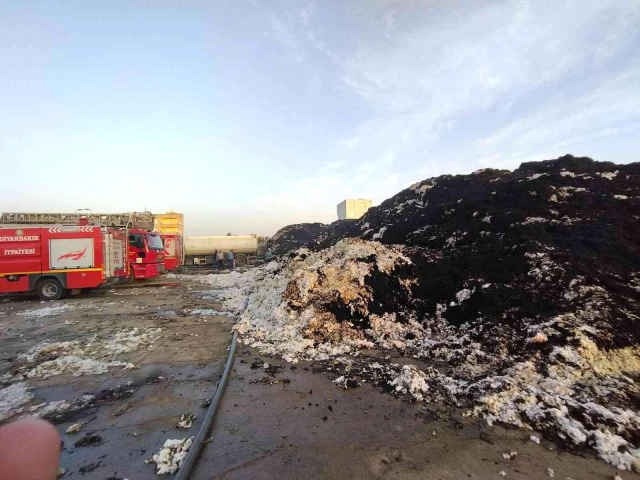 Son dakika haberleri... Bismil'de pamuk fabrikasındaki yangınd, 2,5 ton pamuk kül oldu