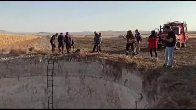 Obruğa düşen tilki kurtarıldı