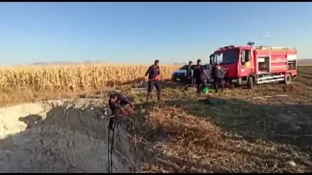Obruğa düşen tilki kurtarıldı