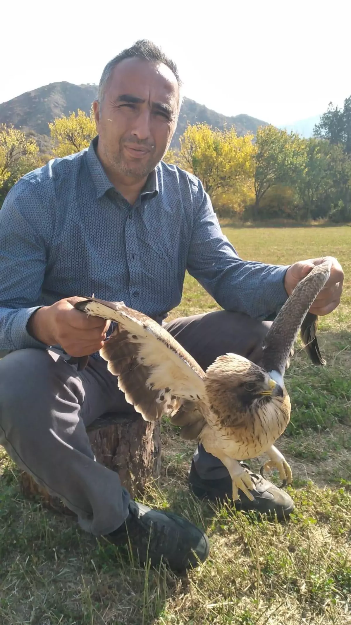 Sivas'ta arazide bulunan yaralı kartal tedaviye alınacak