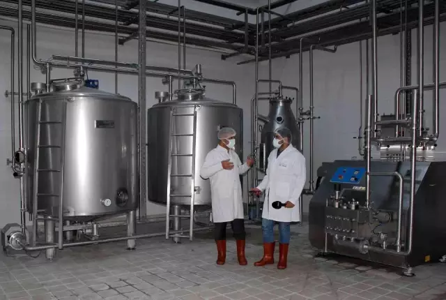 Sivas'ta üretilen mozzarella peyniri 18 ülkede pizzaları lezzetlendiriyor