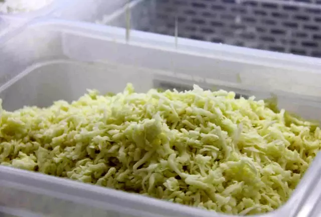 Sivas'ta üretilen mozzarella peyniri 18 ülkede pizzaları lezzetlendiriyor