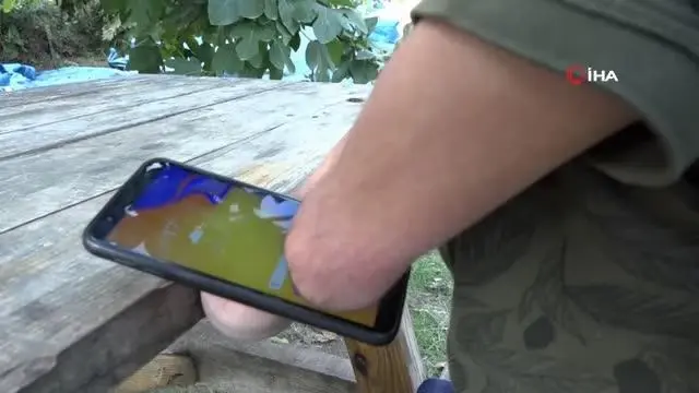 engel tanimiyor ozguven ve giriskenligi ile o 14466968 o