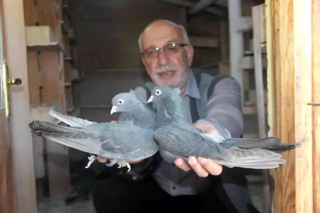 Evladım dediği güvercinlerine 50 yıldır bakıyor