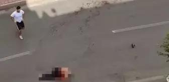 Sokak ortasında vahşet! Damat, kayınbirederini bıçaklayıp ortalığı kan gölüne çevirdi