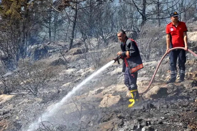 Son dakika haber... Silifke'de çalılık alanda çıkan yangın ormana sıçradı