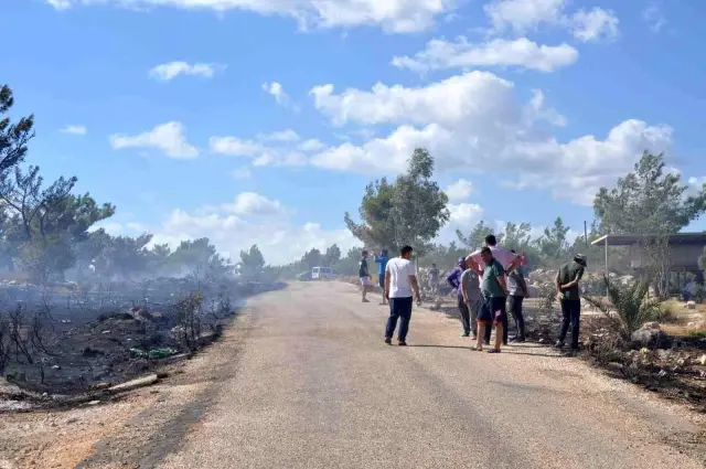 Son dakika haber... Silifke'de çalılık alanda çıkan yangın ormana sıçradı