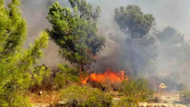 Son dakika haber... Silifke'de çalılık alanda çıkan yangın ormana sıçradı