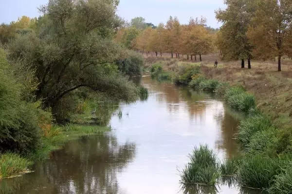 TARİH ARAŞTIRMACISI BAYATLI VENEDİK, EDİRNE'DEN ESİNLENEREK KURULDU