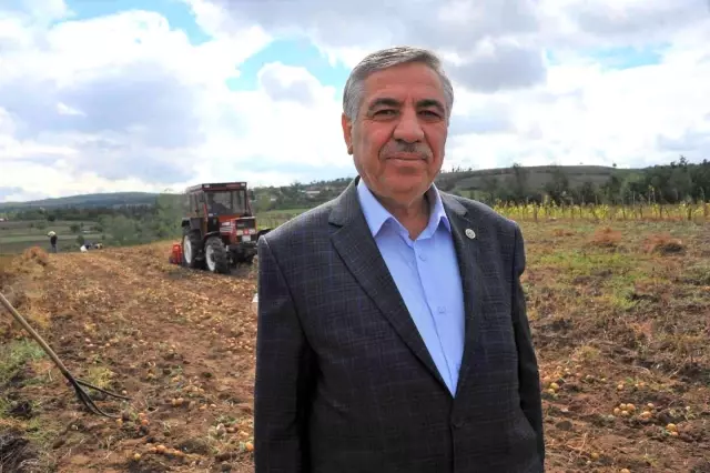 Tohum desteği meyvelerini verdi