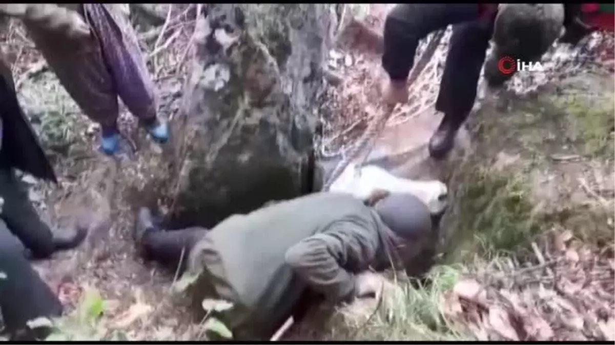 Tokat'ta kayalıklar arasına düşen inek kurtarıldı