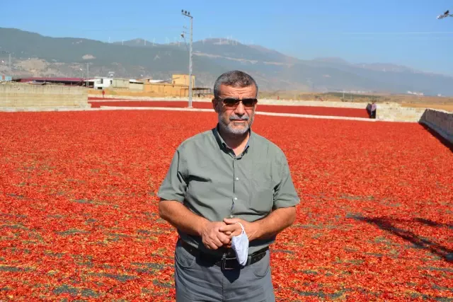 ŞANLIURFA - Türkiye'nin pul biber ihracatı 9 ayda yüzde 28 arttı