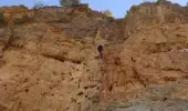 150 metre tırmanarak topladığı kaya balını Cumhurbaşkanı Erdoğan'a ulaştıracak