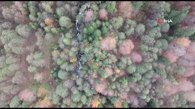 Borçka Karagöl'den eşsiz sonbahar manzaraları