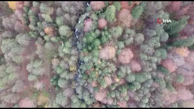 Borçka Karagöl'den eşsiz sonbahar manzaraları