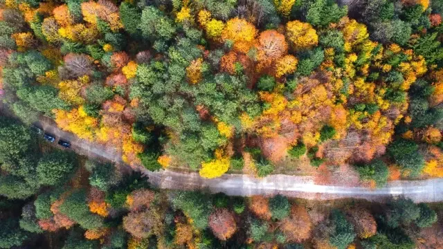 Borçka Karagöl'den eşsiz sonbahar manzaraları