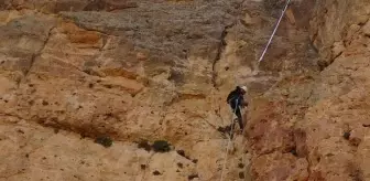 Kilosu bin lira olan balı toplamak için 150 metre tırmanıyor! Topladıklarını Cumhurbaşkanı Erdoğan'a götürecek