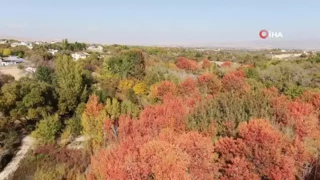 Elazığ'da sonbaharda rengarenk olan ağaçlar havadan görüntülendi
