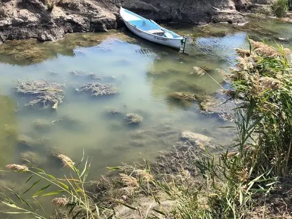 GÖLLERDE 'ÇÜRÜME' FELAKETİ