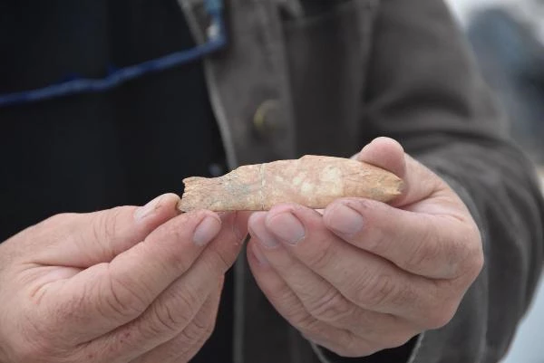 8 bin yıl öncesine ait 'balık' figürü bulundu
