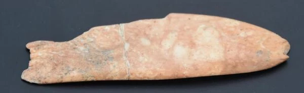 8 bin yıl öncesine ait 'balık' figürü bulundu