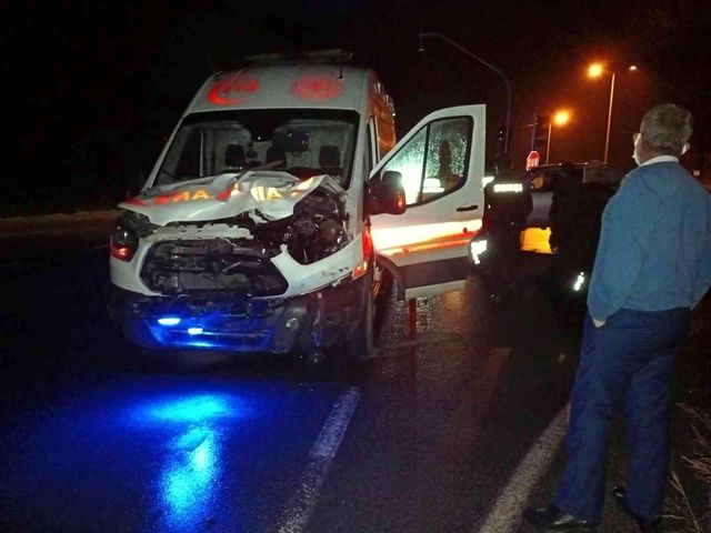 ambulansin carptigi inek telef oldu 2 14470631 o