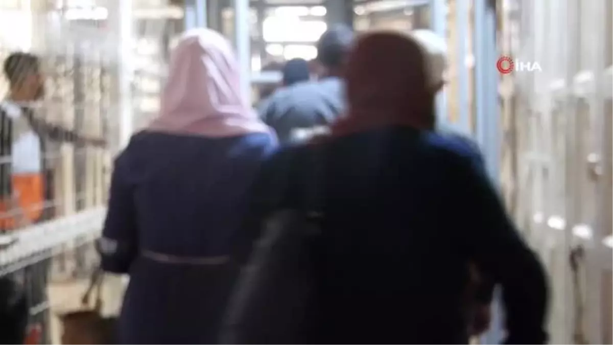 Binlerce Filistinli, Mevlit Kandili etkinlikleri için Harem-i İbrahim Camisi'ne akın etti