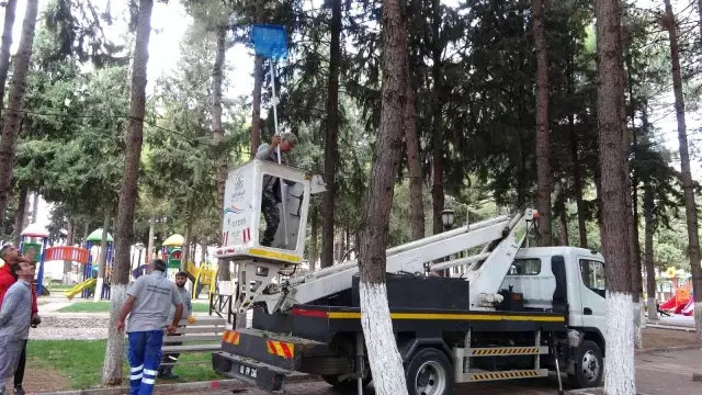 Son dakika haberi... Yatak çarşafıyla kedi kurtarma operasyonu