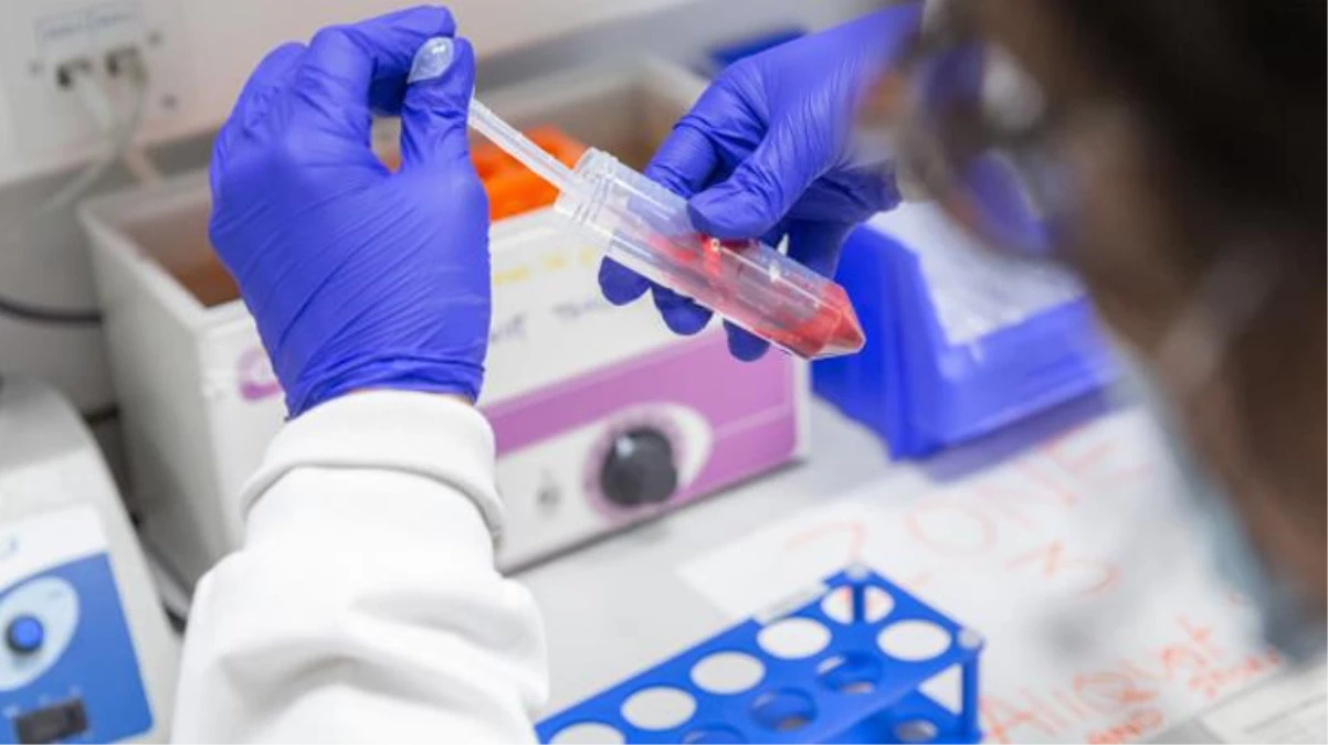 Pfizer'dan koronavirüs ilacı muştusu: Klinik testler olumlu sonuçlanırsa çabucak üretime geçilecek