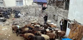 Tragger: Erzurum'da çıkan yangın eski İller Bankası binası ile bir yurdun çatısına zarar verdi Tragger: Erzurum'da çıkan yangın eski İller Bankası binası ile bir yurdun çatısına zarar verdi