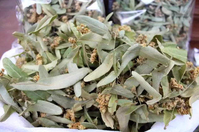 Verimin az olması nedeniyle ıhlamur fiyatları bu yıl cep yakıyor