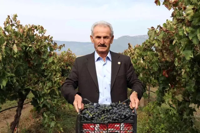 Tarlada 2, markette 10 lira! Üzüm üreticisi isyan ediyor