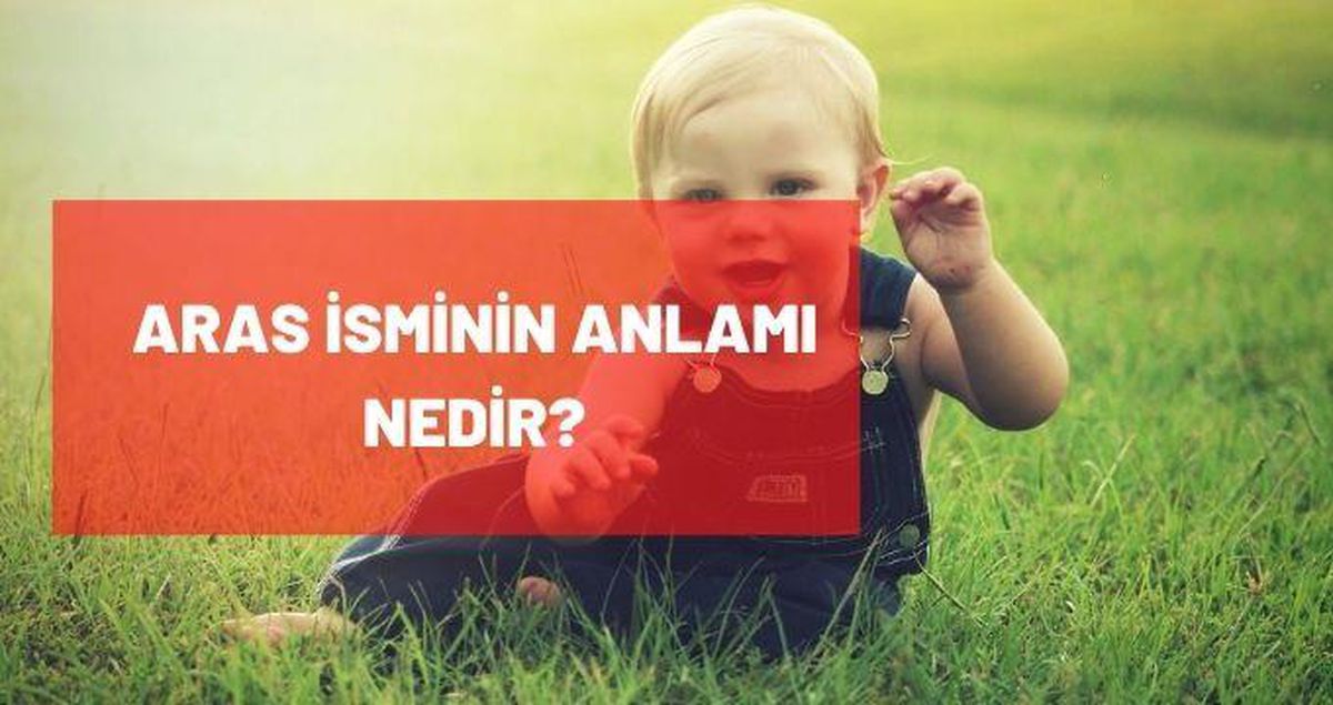 Aras isminin anlamı nedir? Aras ne demek?