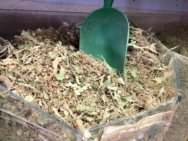 Ihlamur 'yeşil altın' olma yolunda ilerliyor: Kilosu 400 lira